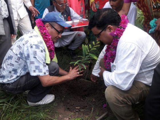 सुर्खेतमा ४ लाख विरुवा रोपियो