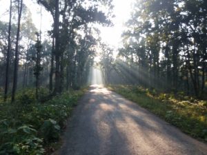 विहानी समयको काँक्रेविहार