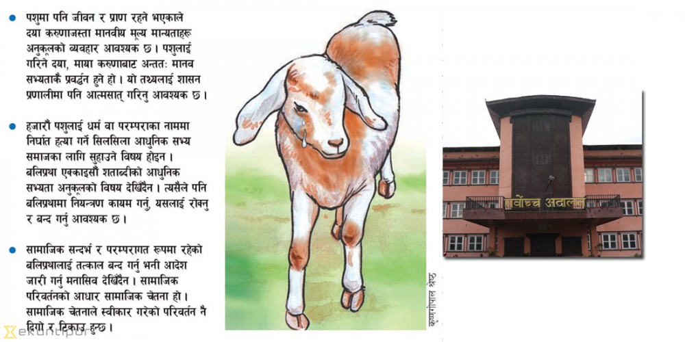 बलिप्रथाबारे सर्वोच्च अदालतको व्याख्या, ‘रोक्नुपर्छ, तर हतारमा होइन’