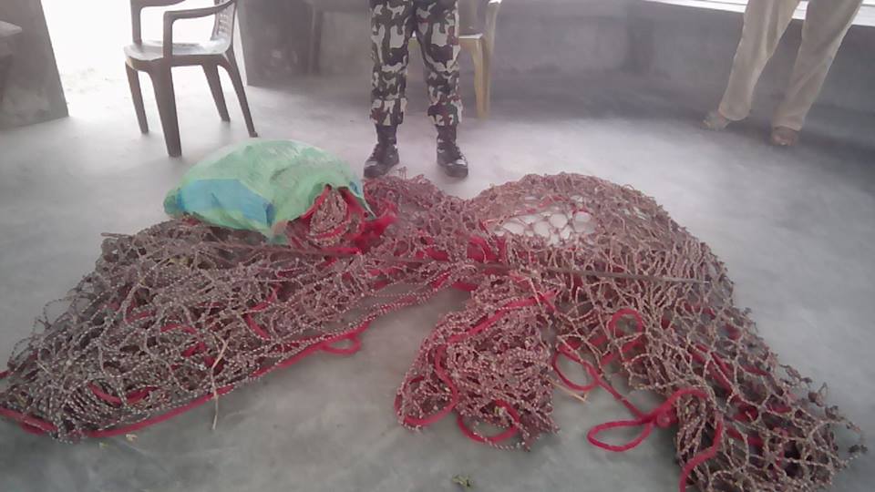 बंदेल मारेर भाग बण्डा गर्दा-गर्दै प्रहरी पुगेपछि…