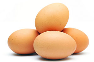 egg