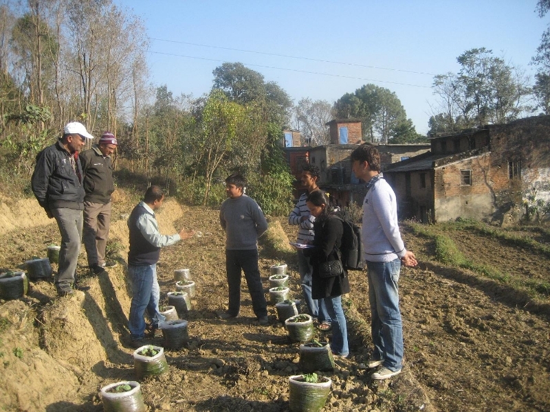 मध्यपश्चिममा कृषी प्राविधिक न्यून