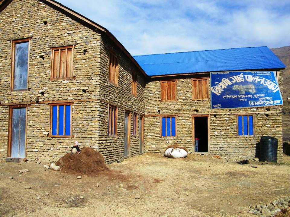 जुम्लामा हिमाली आयोजना असफल