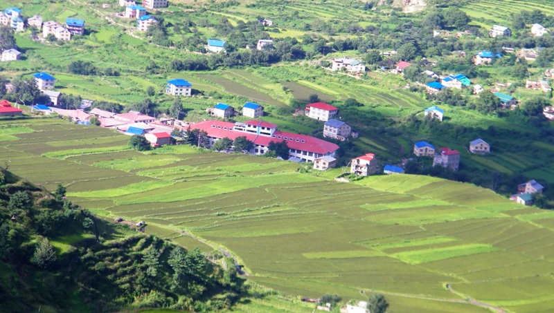 जाजरकोट महामारी क्षेत्रमा विशेषज्ञ टोली खट्यो