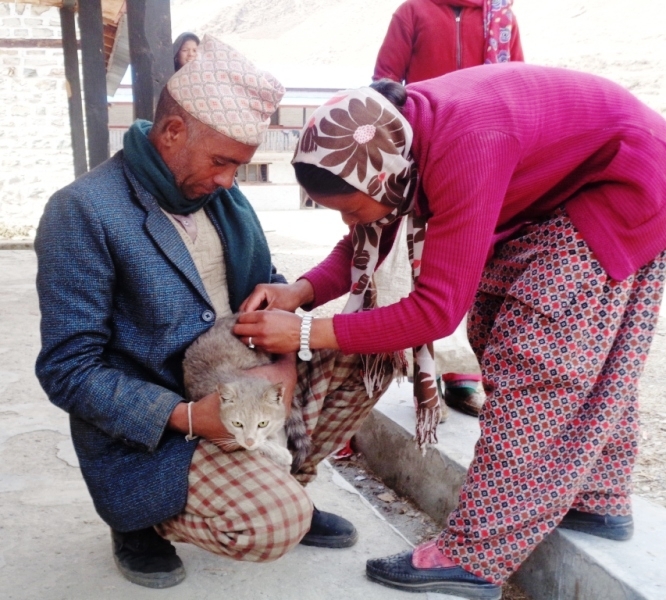 जिल्लामै पहिलो पटक विरालोलाई रेविज विरुद्धको इनजेक्सन्
