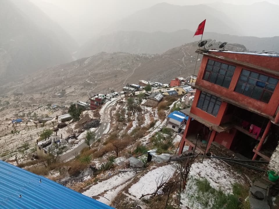 कालीकोट मा असिना – बालीनाली नस्ट