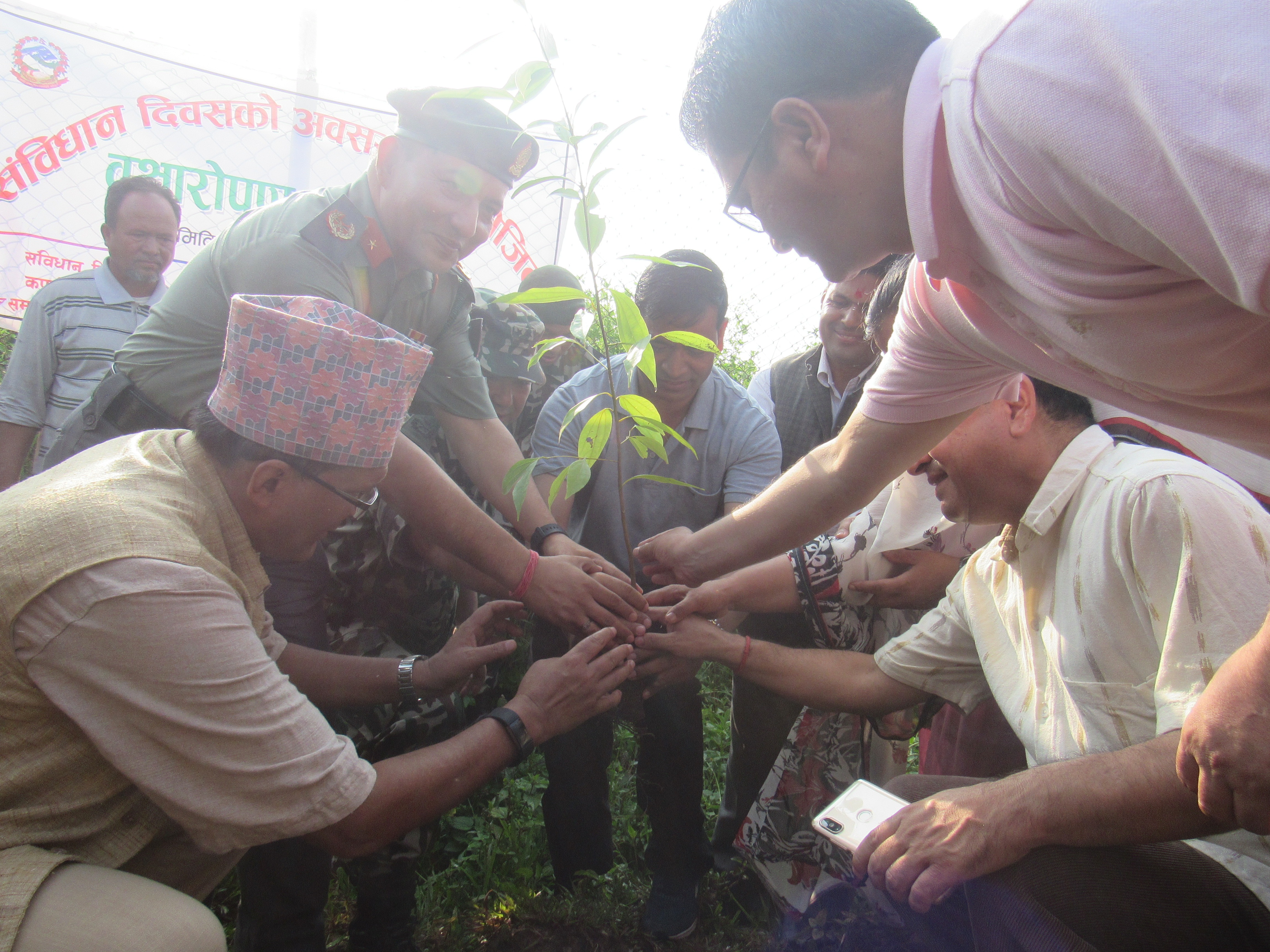 संविधान दिवसको अवसरमा वृक्षारोपन