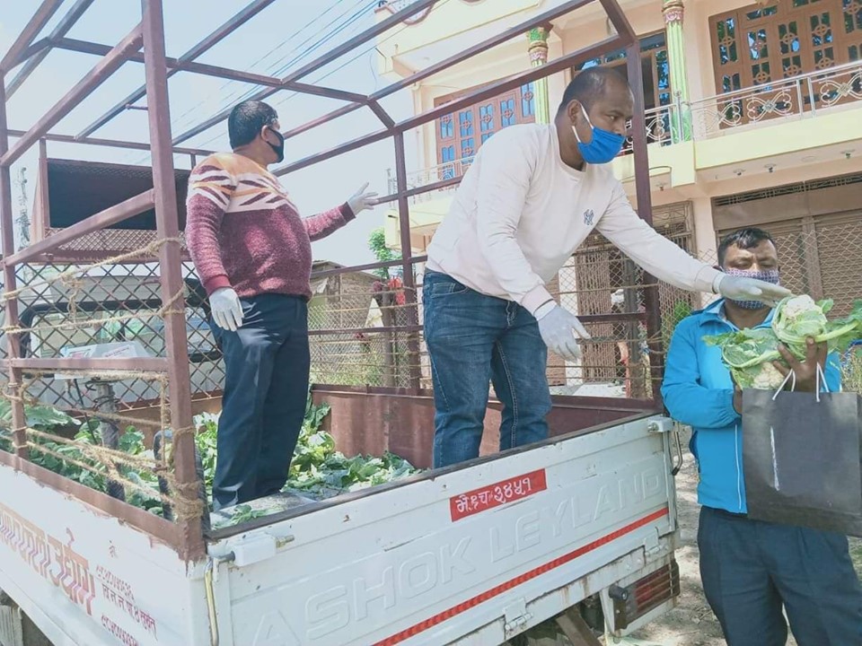 लकडाउनमा घरघरै तरकारी पु-र्याउँदै जनप्रतिनिधी