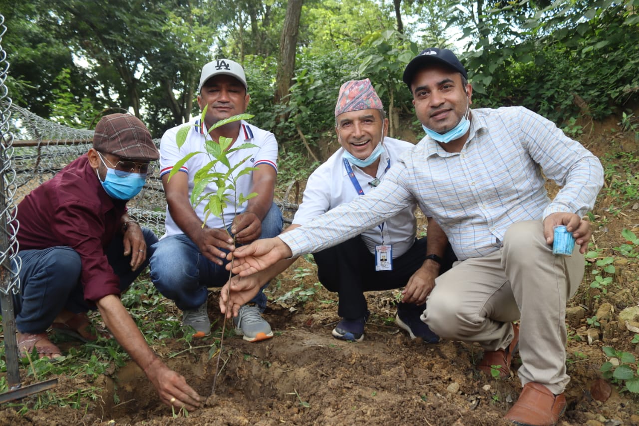मन्दिर परिसरमा रुद्राक्षका विरुवा रोपियो